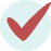 Red Check Mark Icon