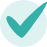 Teal Check Mark Icon
