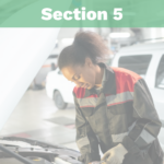 Section 5